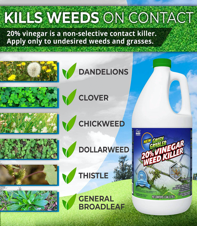 20 Vinegar Weed Killer 5 Star Pest Control
